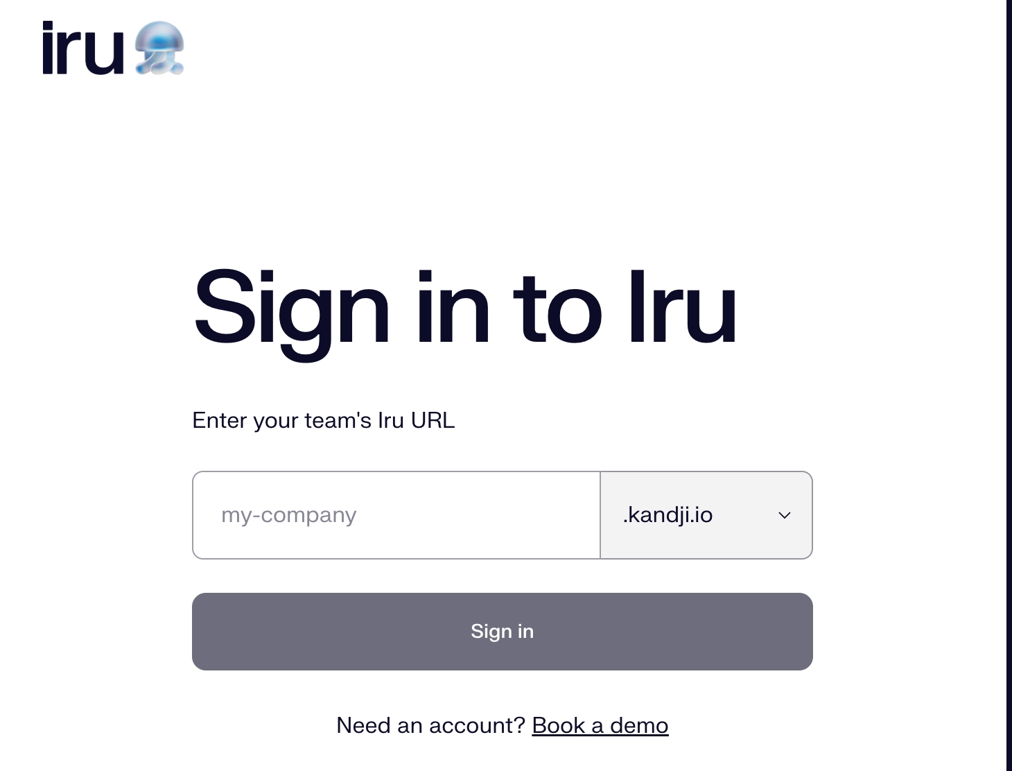 Iruログインページ