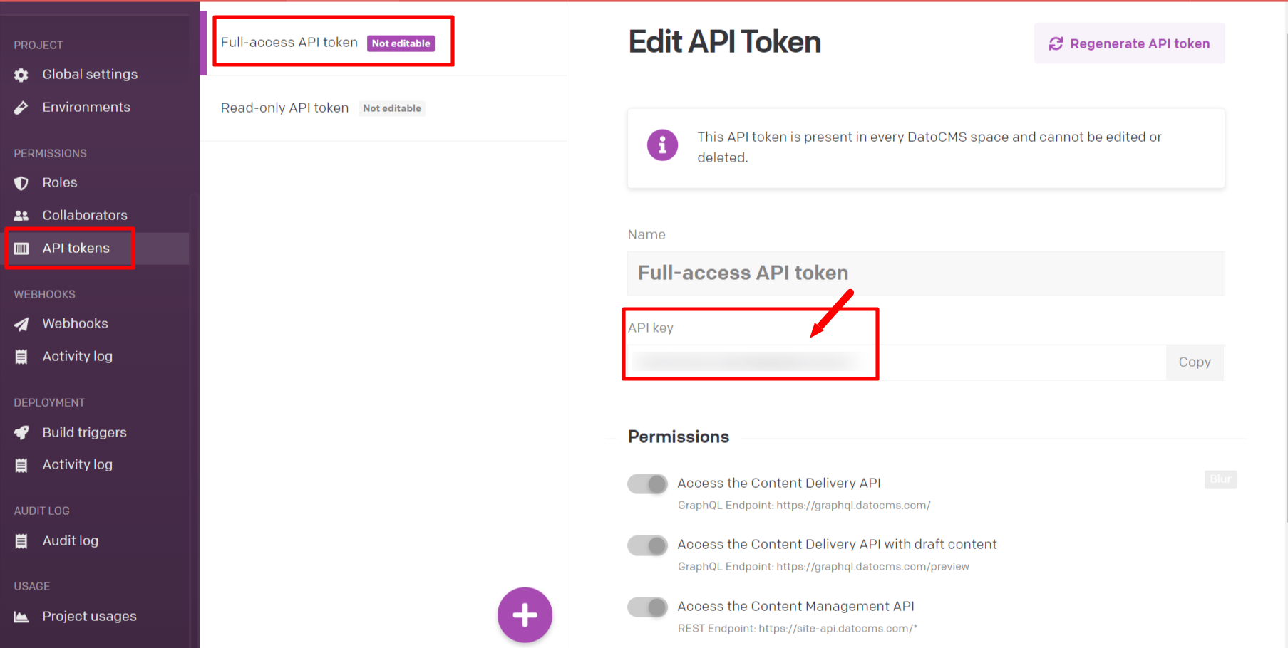 DatoCMS API token