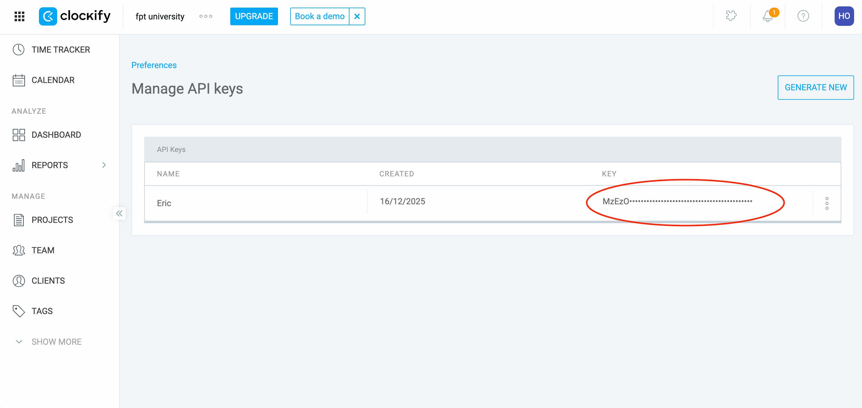 Copy API key