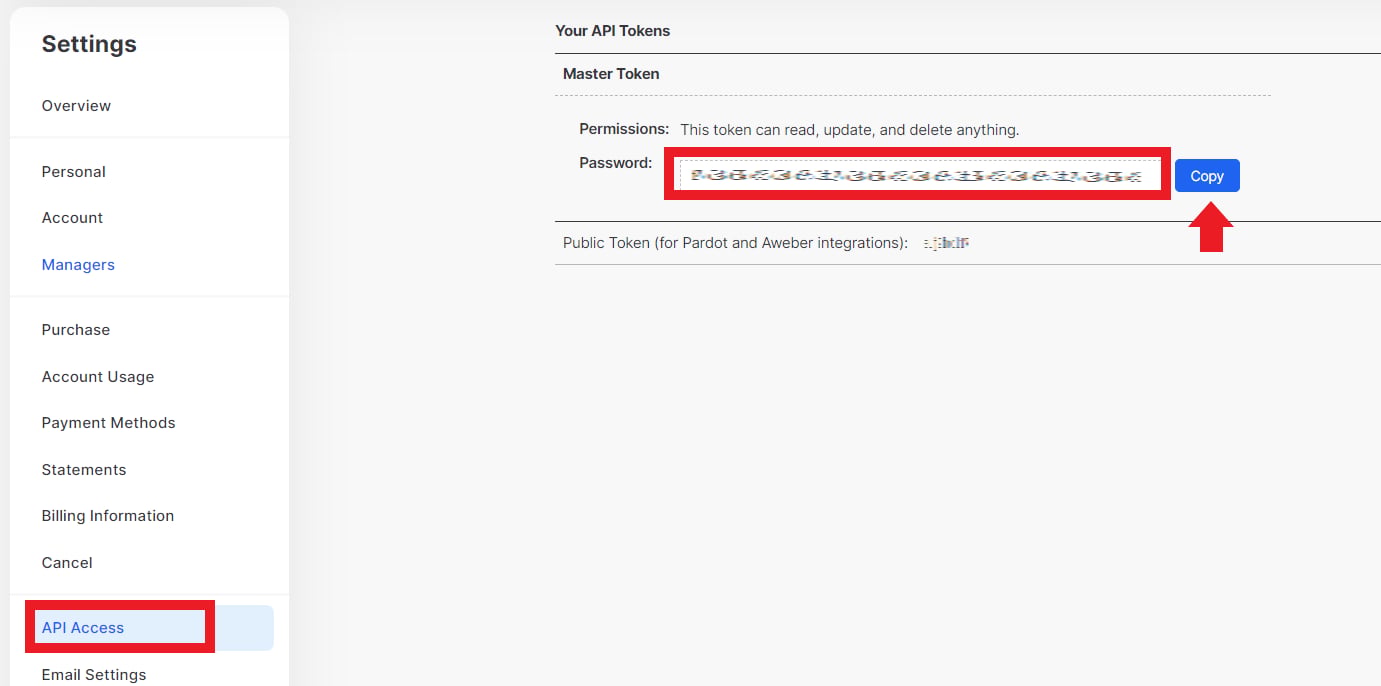 Wistia API Access 画面