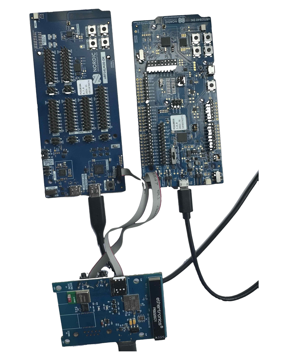 The BLG20x board, component side, with an nRF54LM20 DK and an nRF52840 DK above it, each connected to the board by a 10-pin ribbon cable