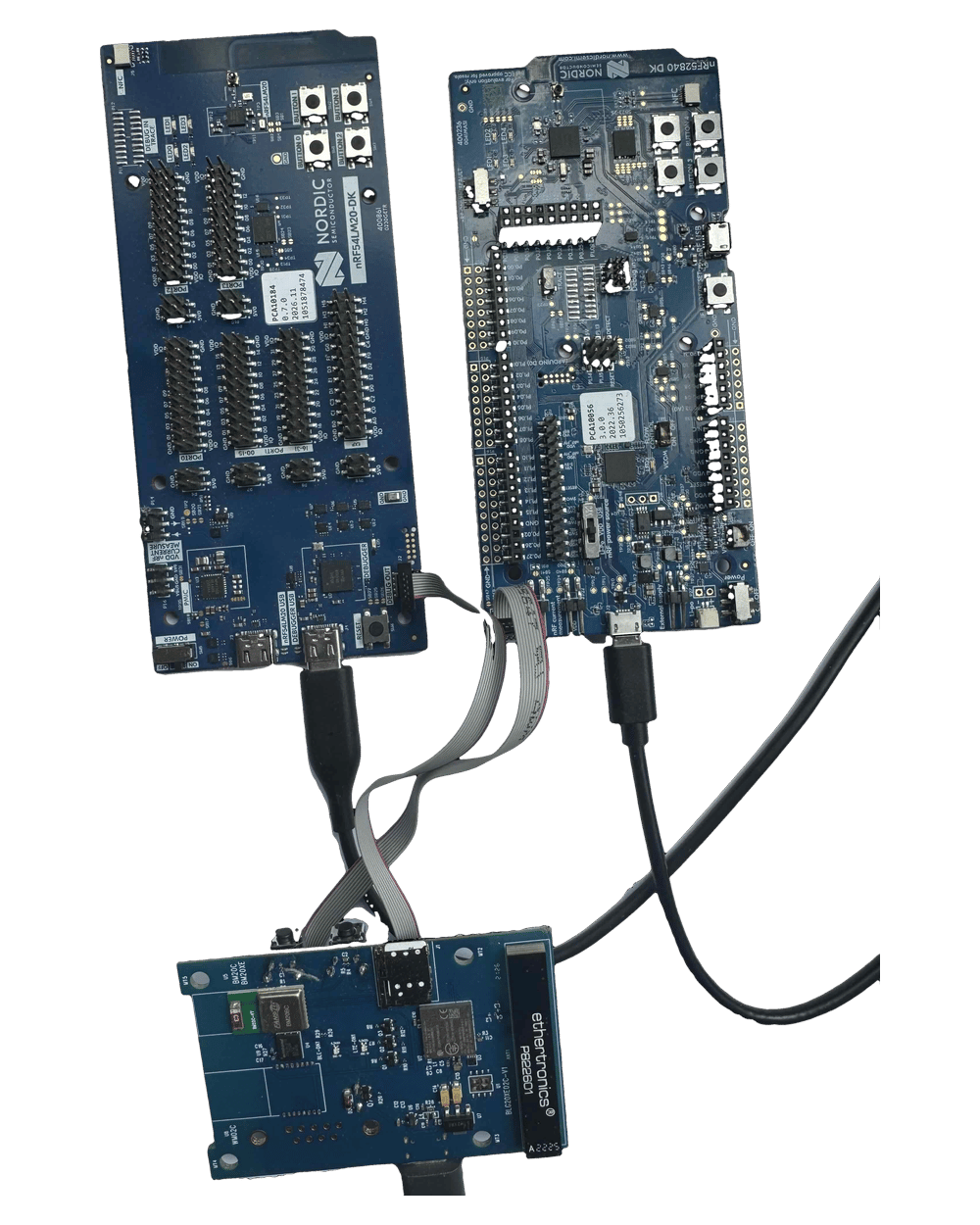 The BLG20x board, component side, with an nRF54LM20 DK and an nRF52840 DK above it, each connected to the board by a 10-pin ribbon cable