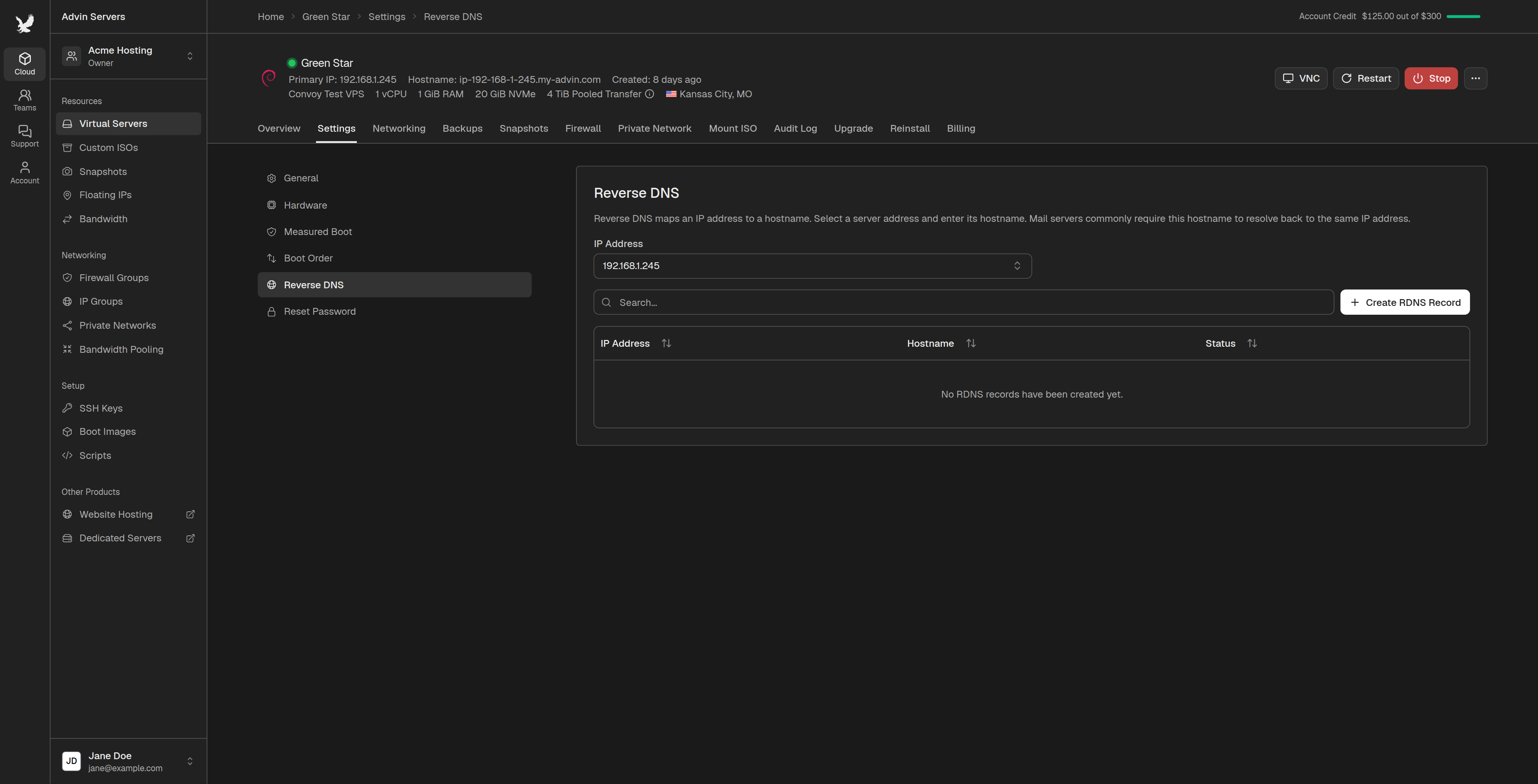 Reverse DNS section of a server's settings
