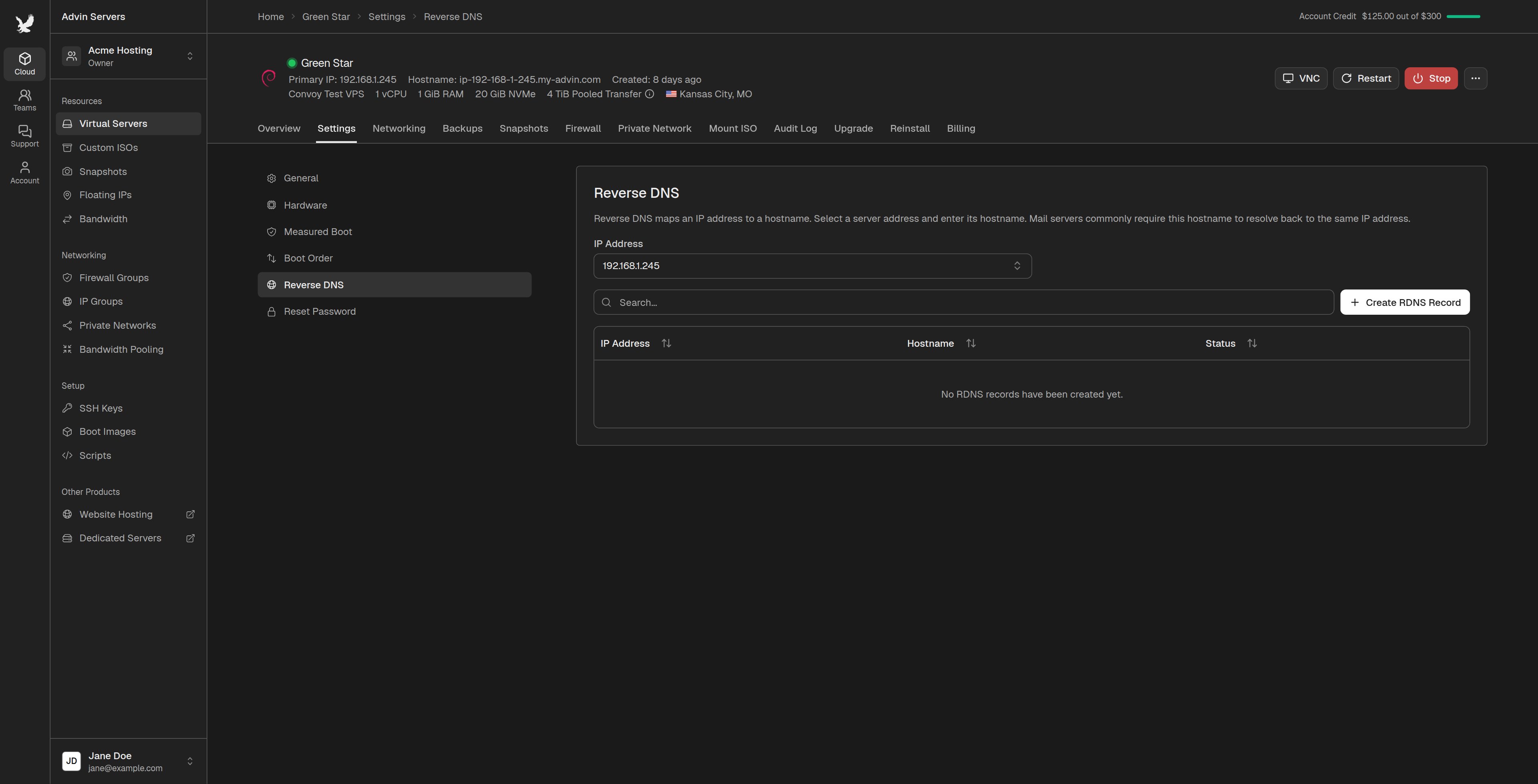 Reverse DNS section of a server's settings