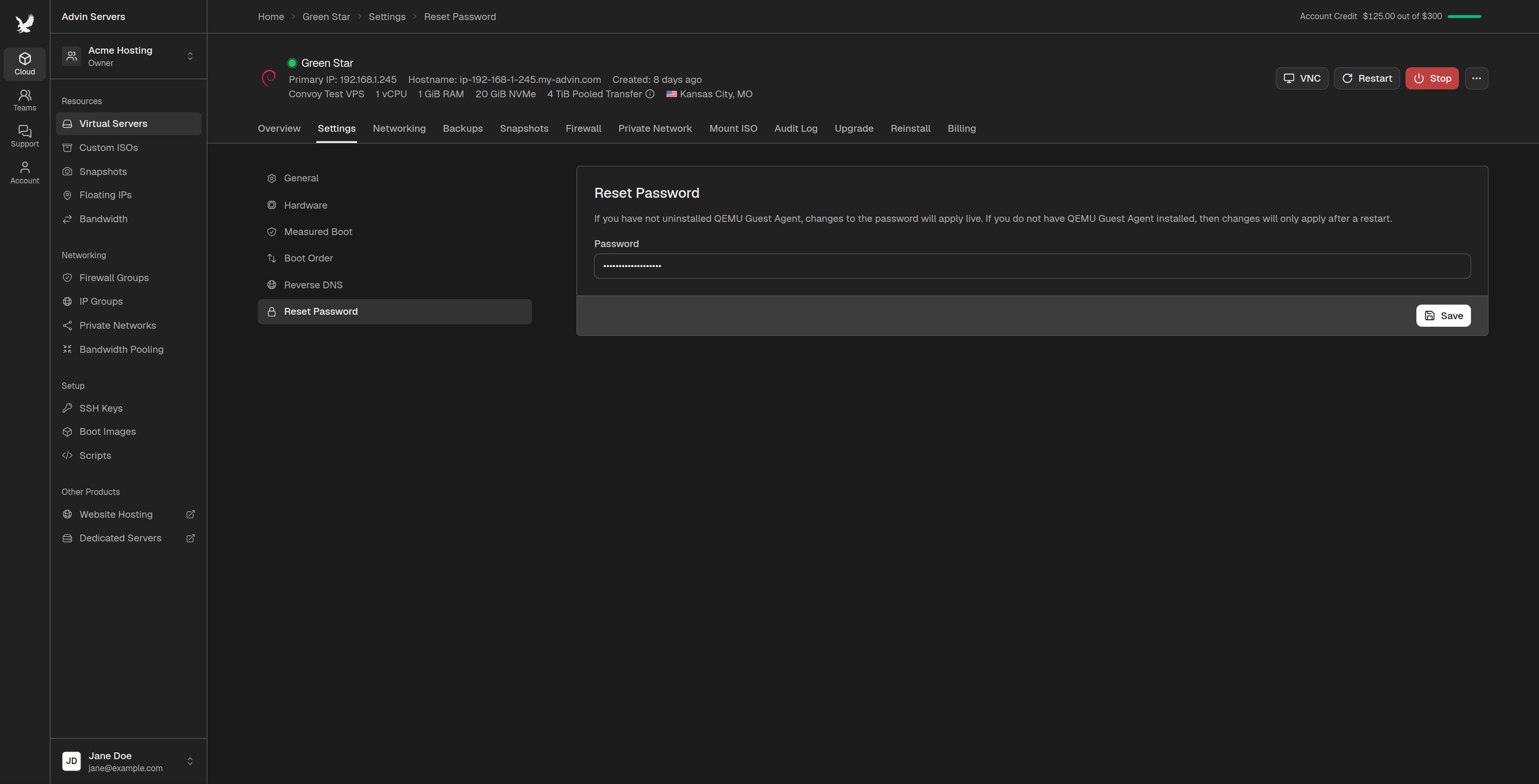 Reset Password section of a server's settings with a new password entered