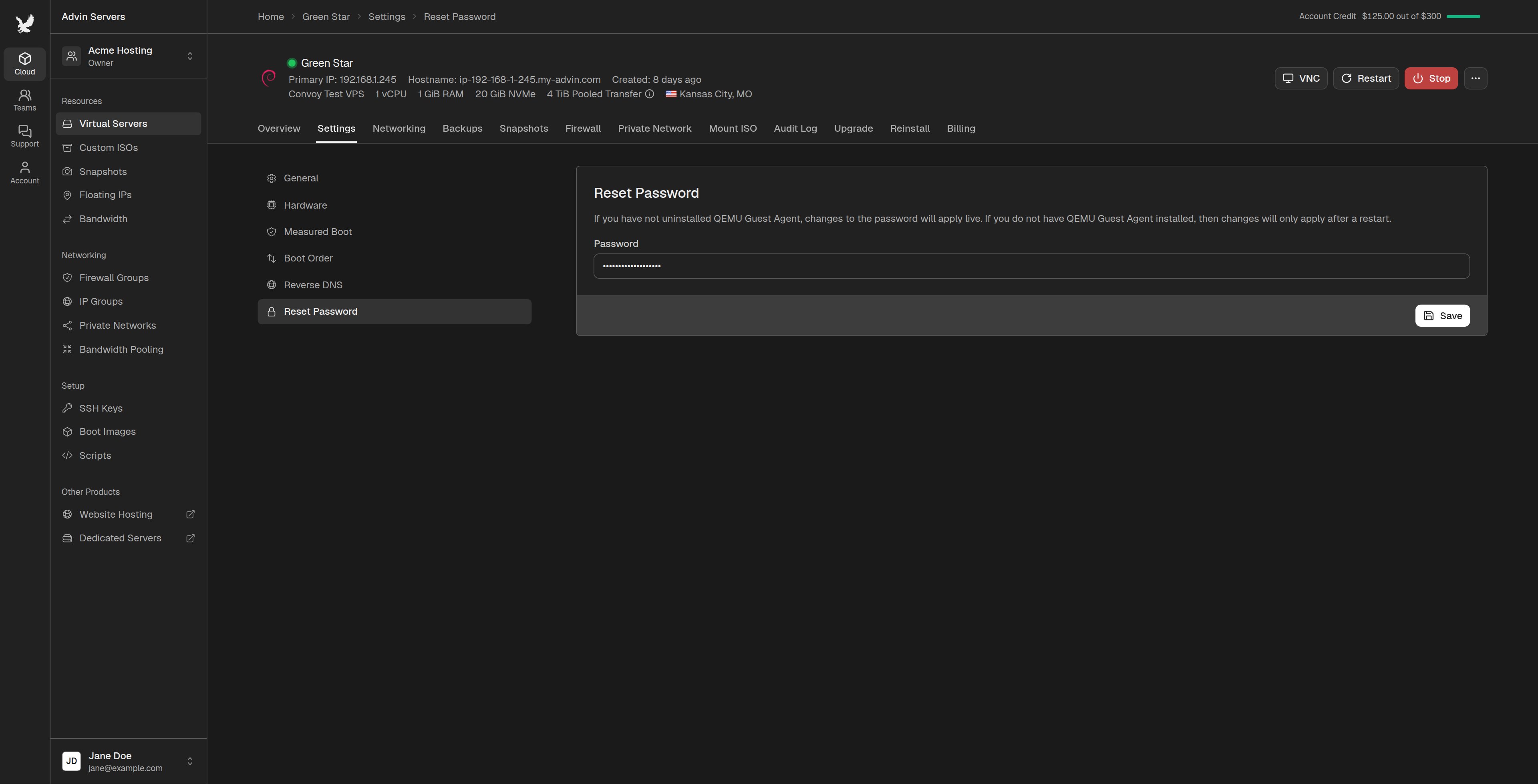 Reset Password section of a server's settings with a new password entered