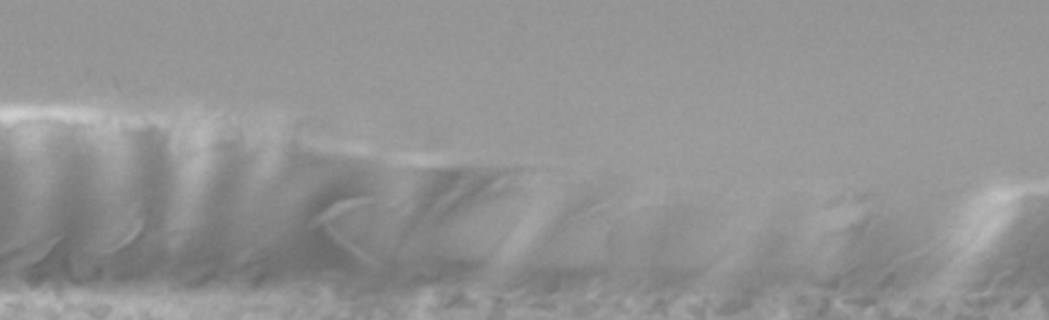 Deformation in Zone 2
