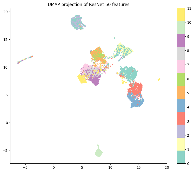 Finetuned ResNet-50 UMAP dimensionality reduction to d=2