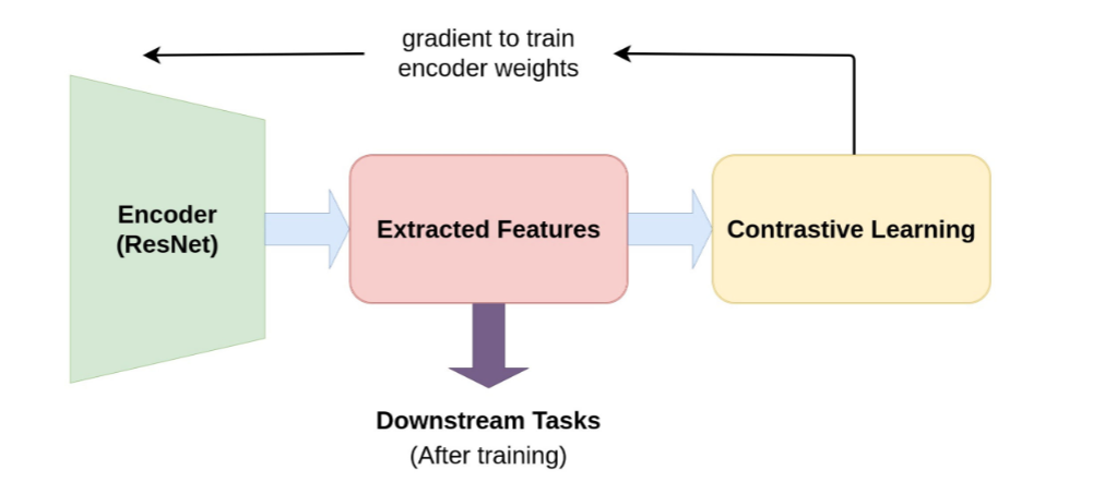 Contrastive Learning with ResNet