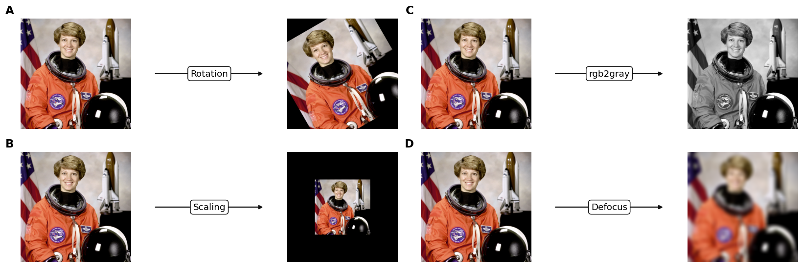 Output from cell 8