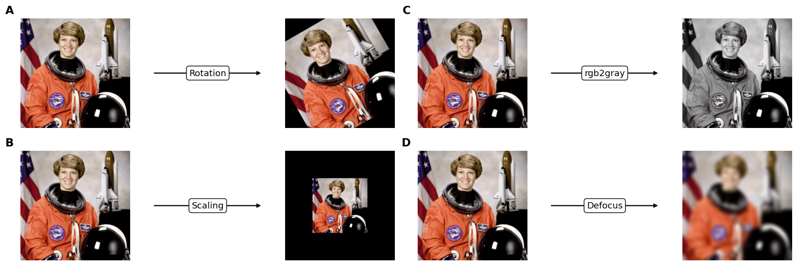 Output from cell 8
