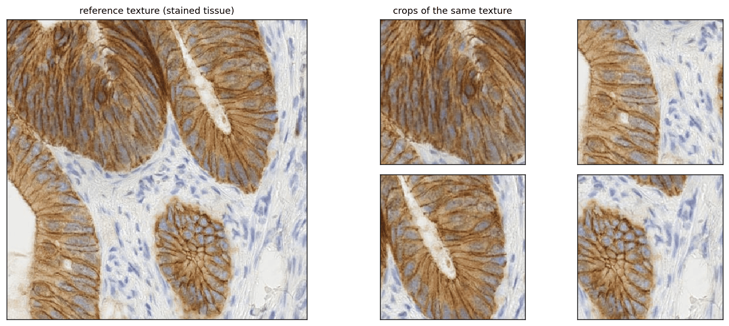 Output from cell 4