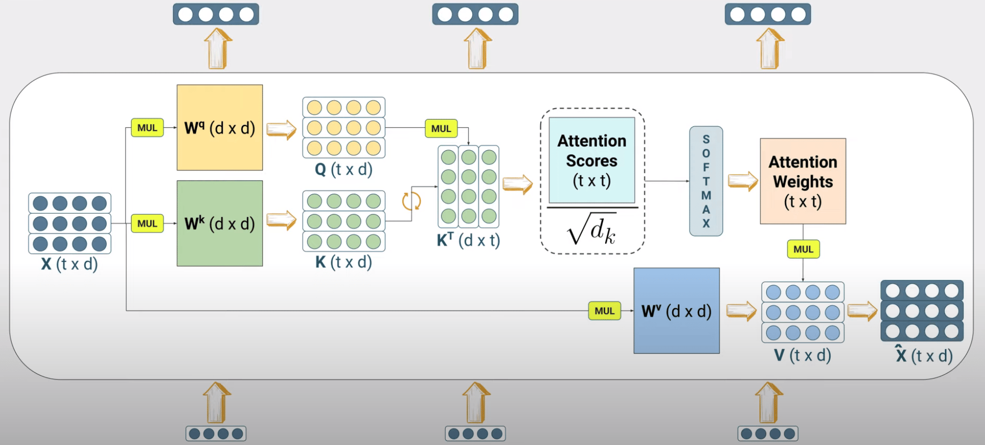 Single Attention Head