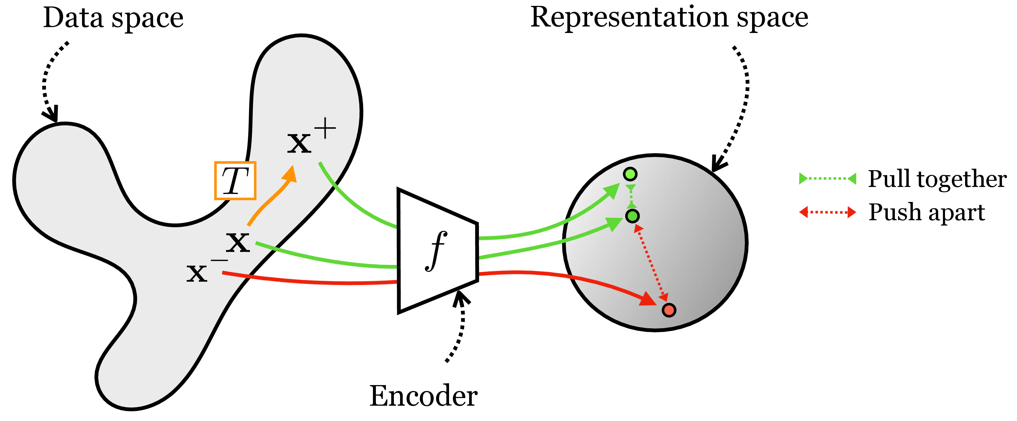 Contrastive learning — encoder mapping data to representation space