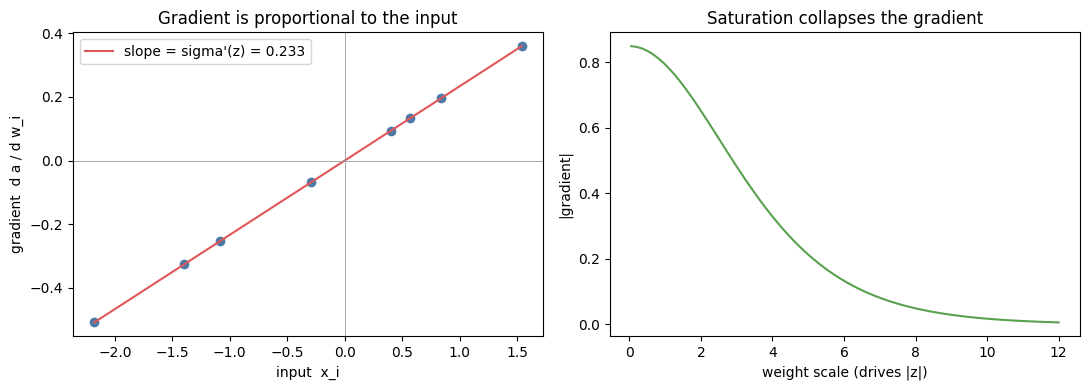 Output from cell 3