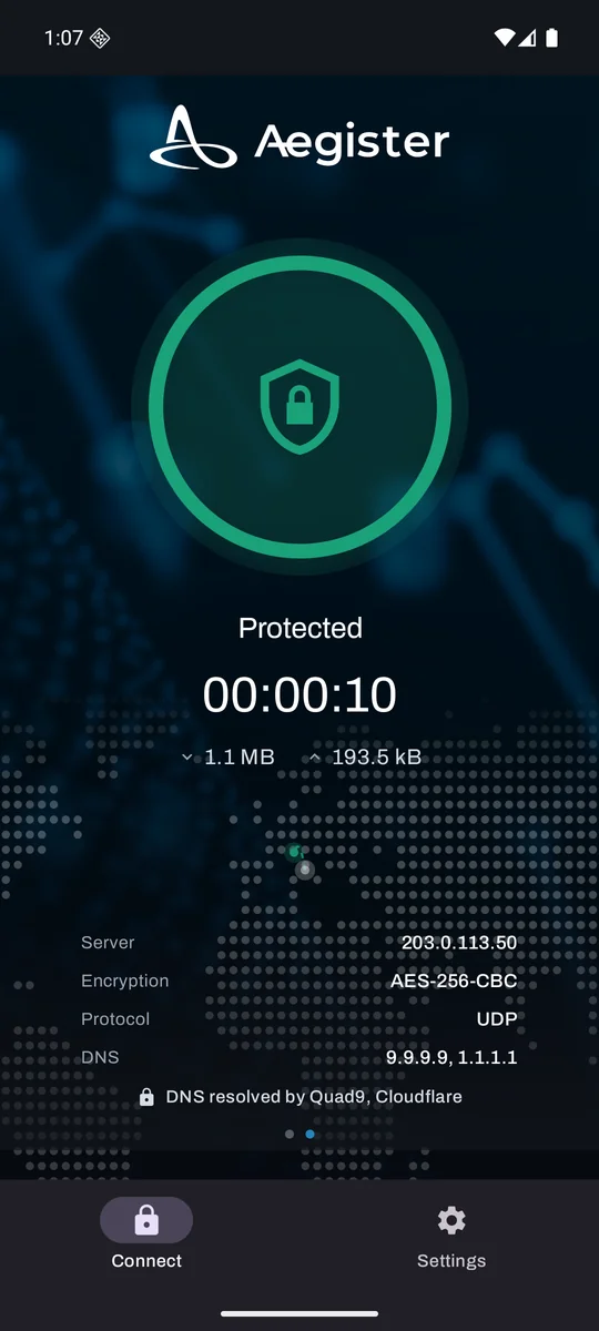 Dettagli della connessione