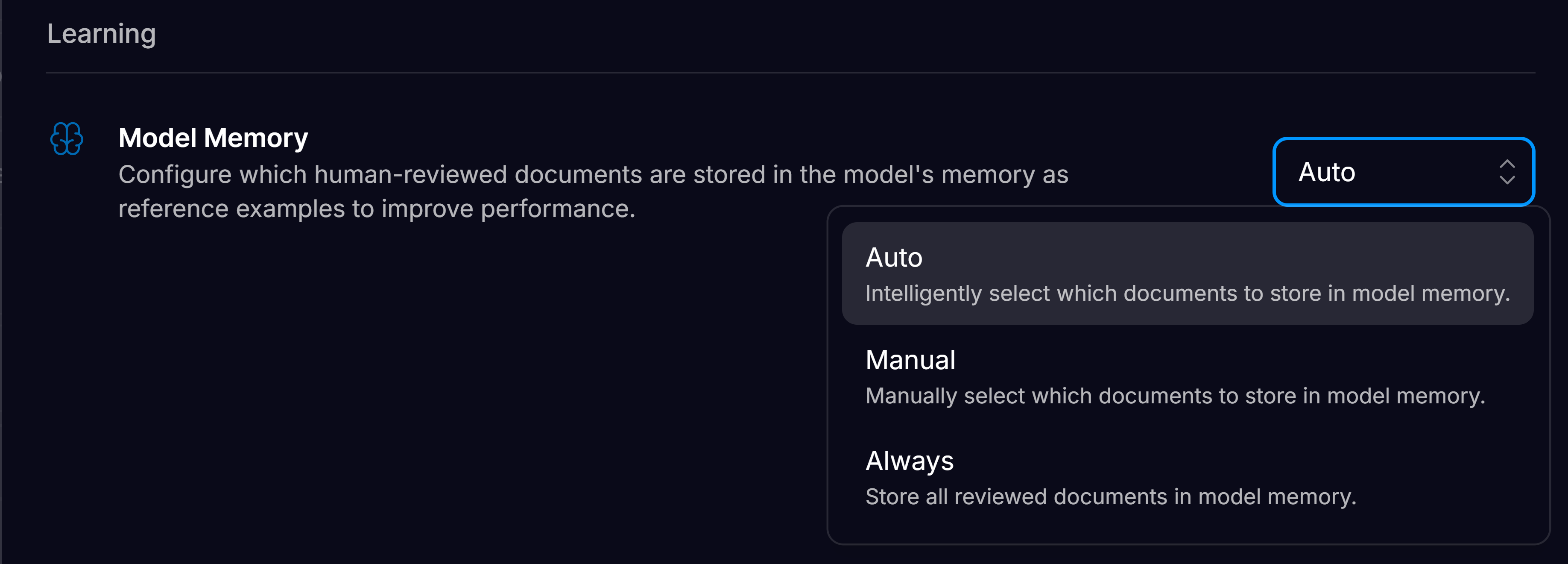 Model Memory Settings