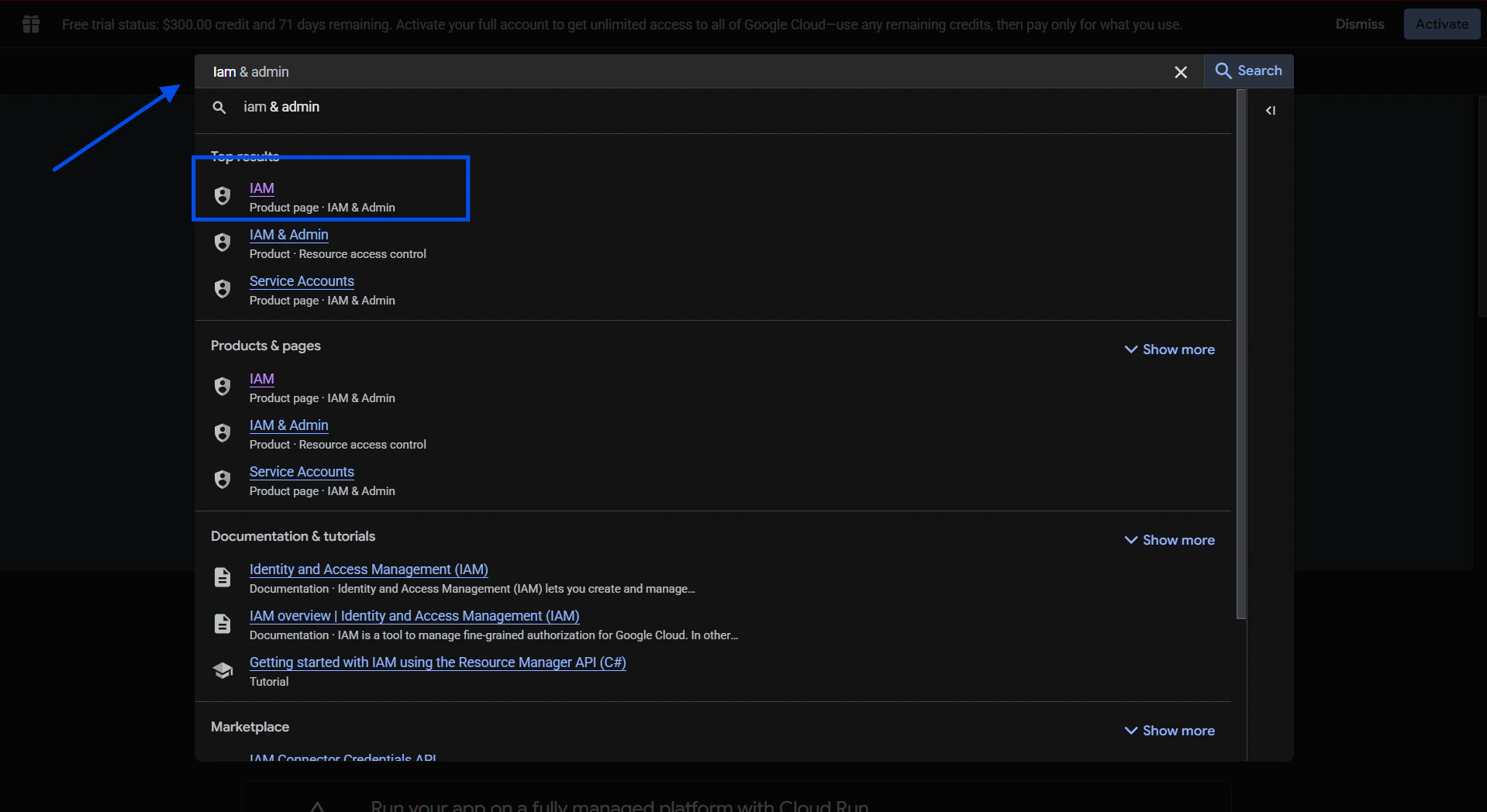 BigQuery IAM and Admin search