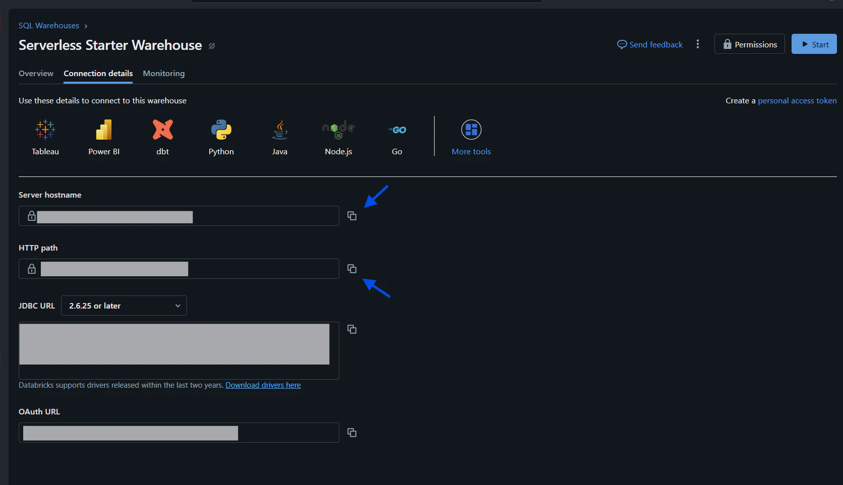 Databricks connection details dialog showing server hostname and HTTP path