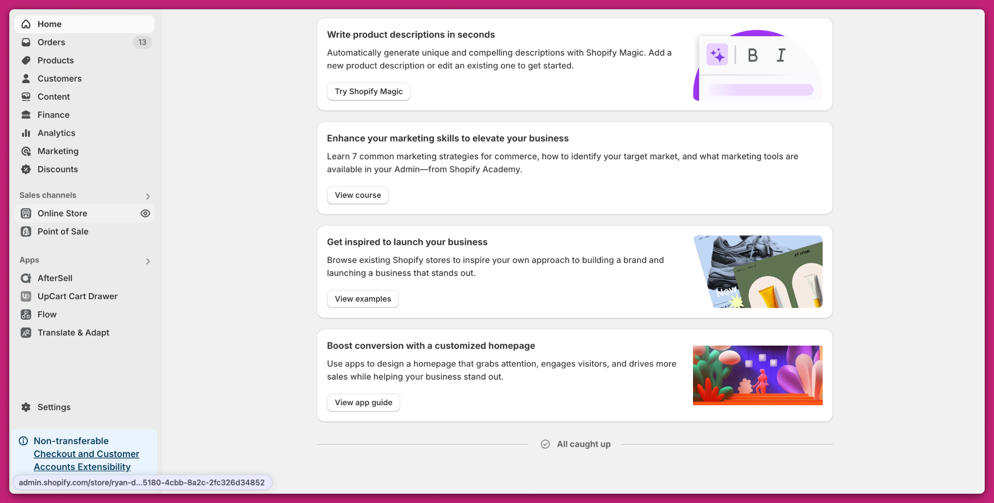 Shopify admin dashboard with Online Store in the left sidebar navigation