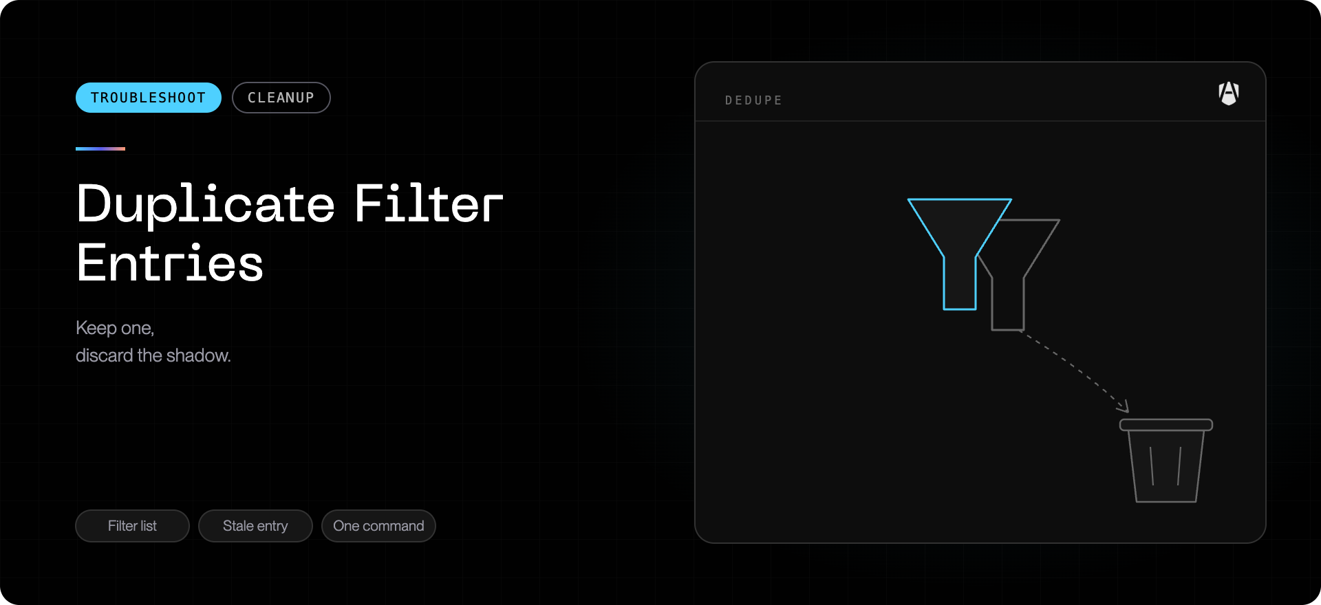 Duplicate Filter Entries cover — keep one, discard the shadow.