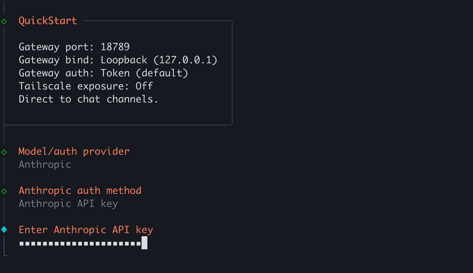 Anthropic API key prompt with the placeholder entered