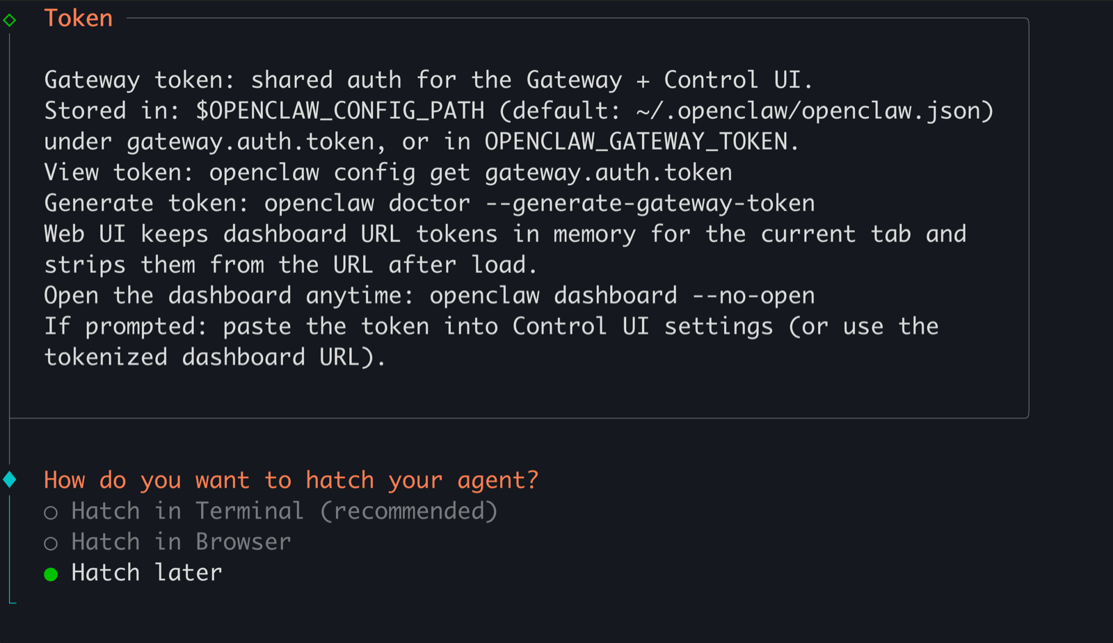 Hatch agent in terminal prompt with hatch-later selected