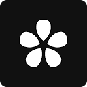 Orchid logo