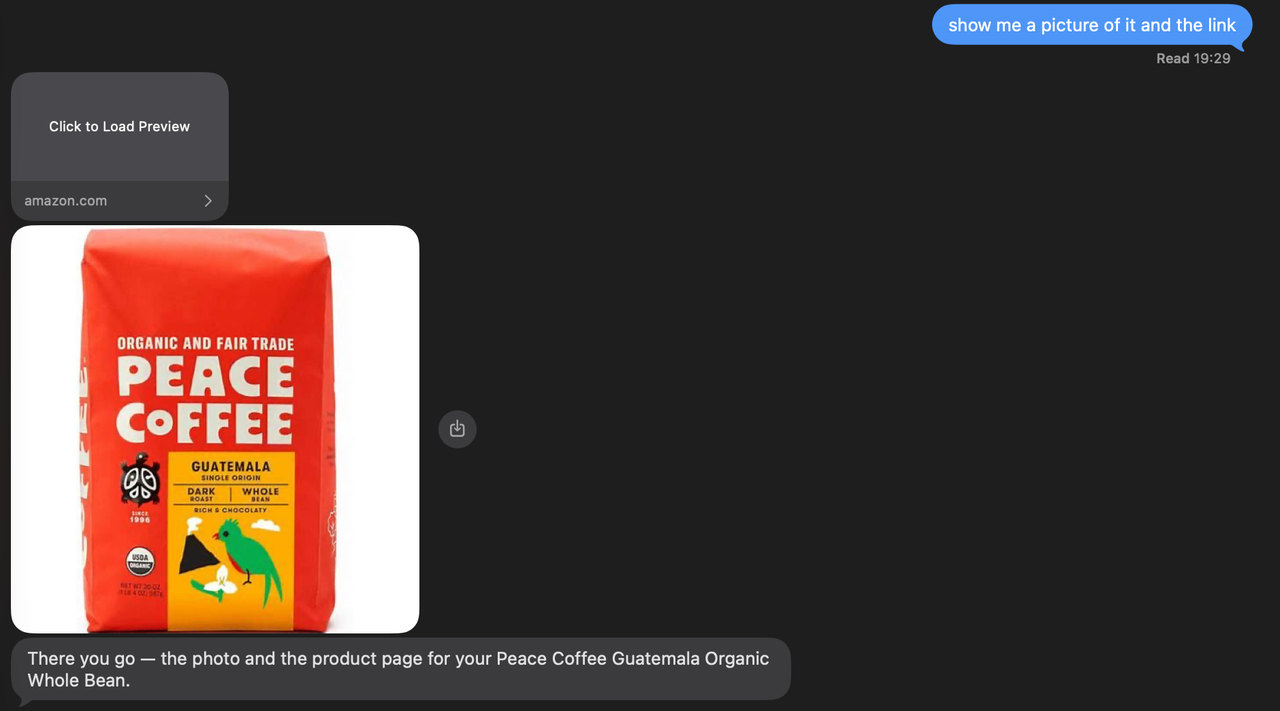 send_link and send_image: the merchant page as its own bubble, the photo as its own message, then the agent's sentence