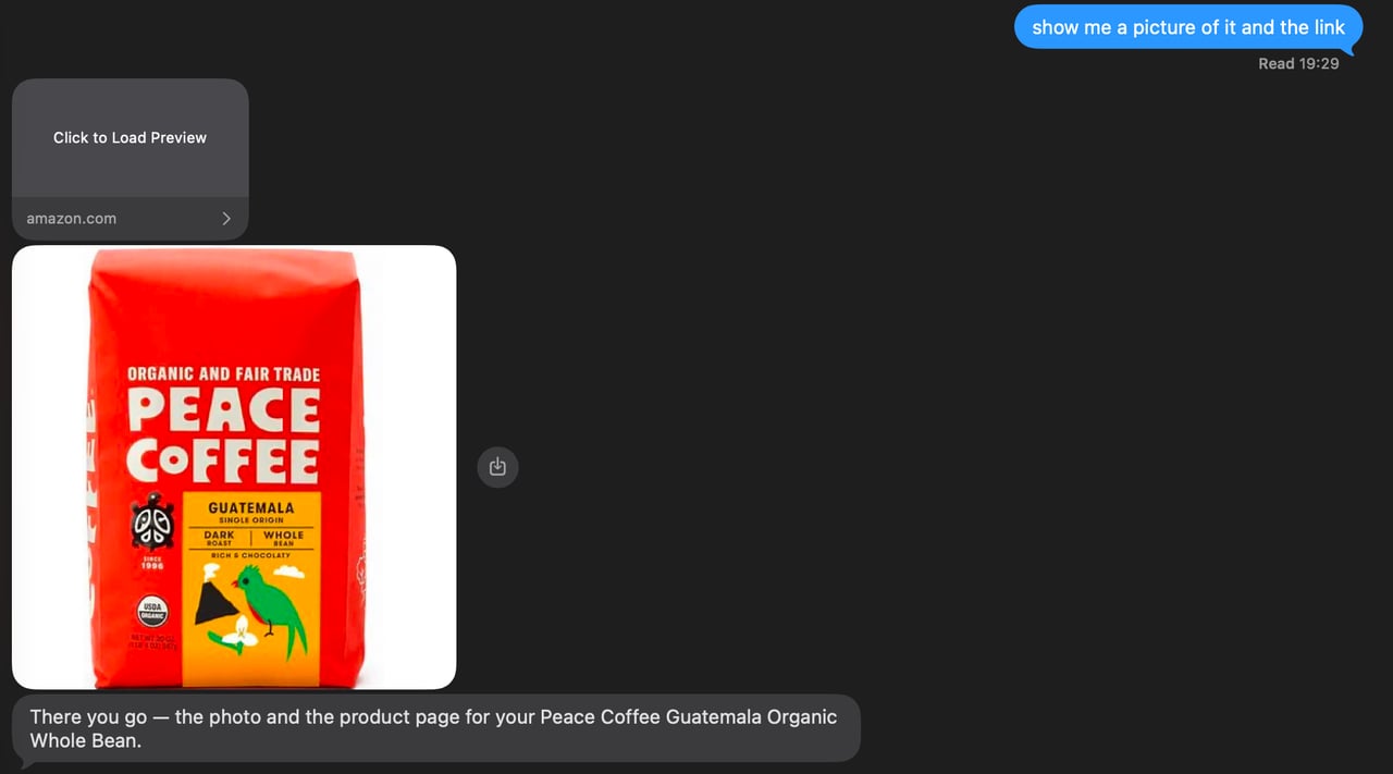 send_link and send_image: the merchant page as its own bubble, the photo as its own message, then the agent's sentence