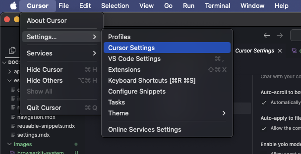 Open Cursor Settings