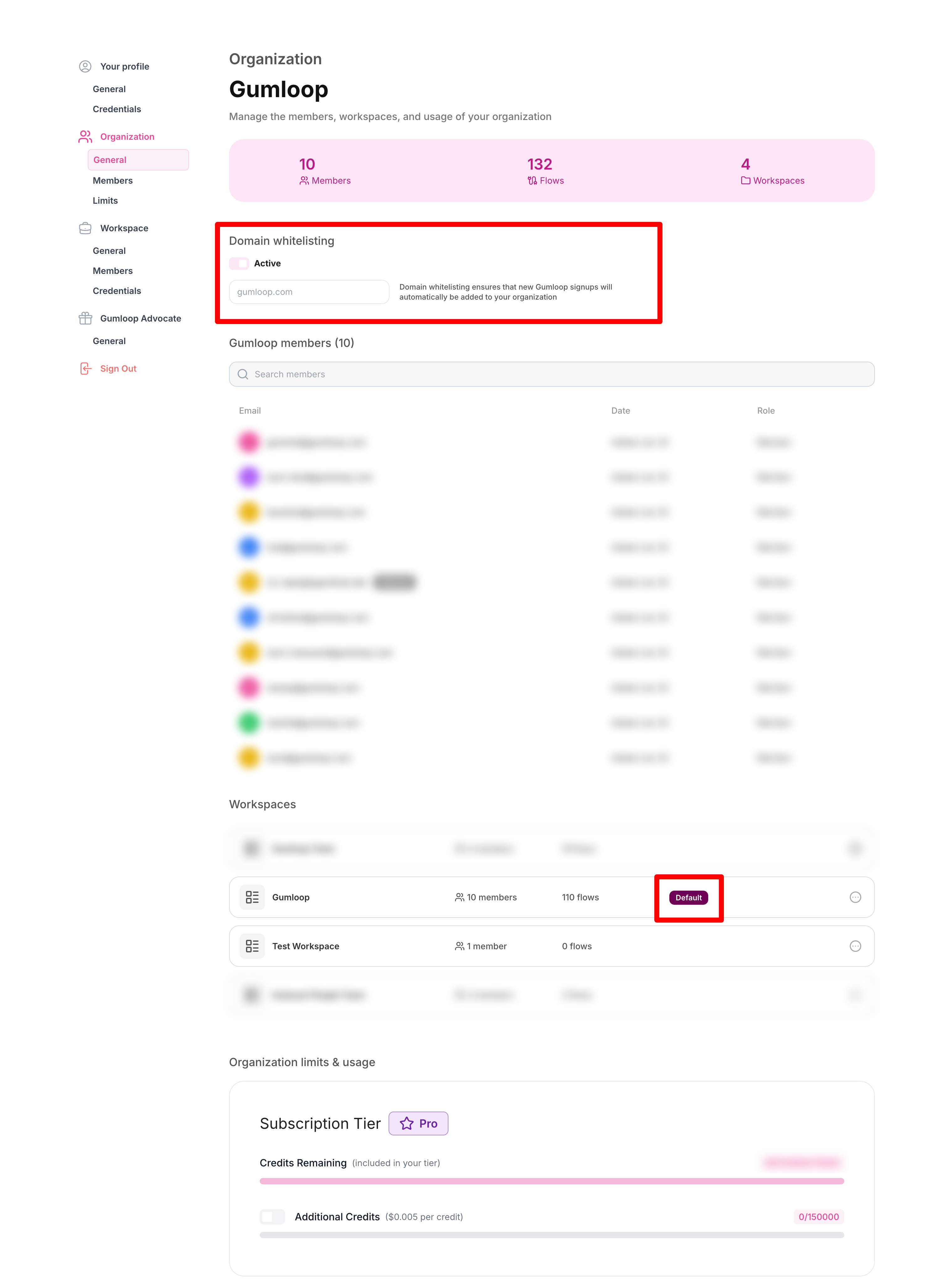 Default workspace settings showing domain whitelist configuration