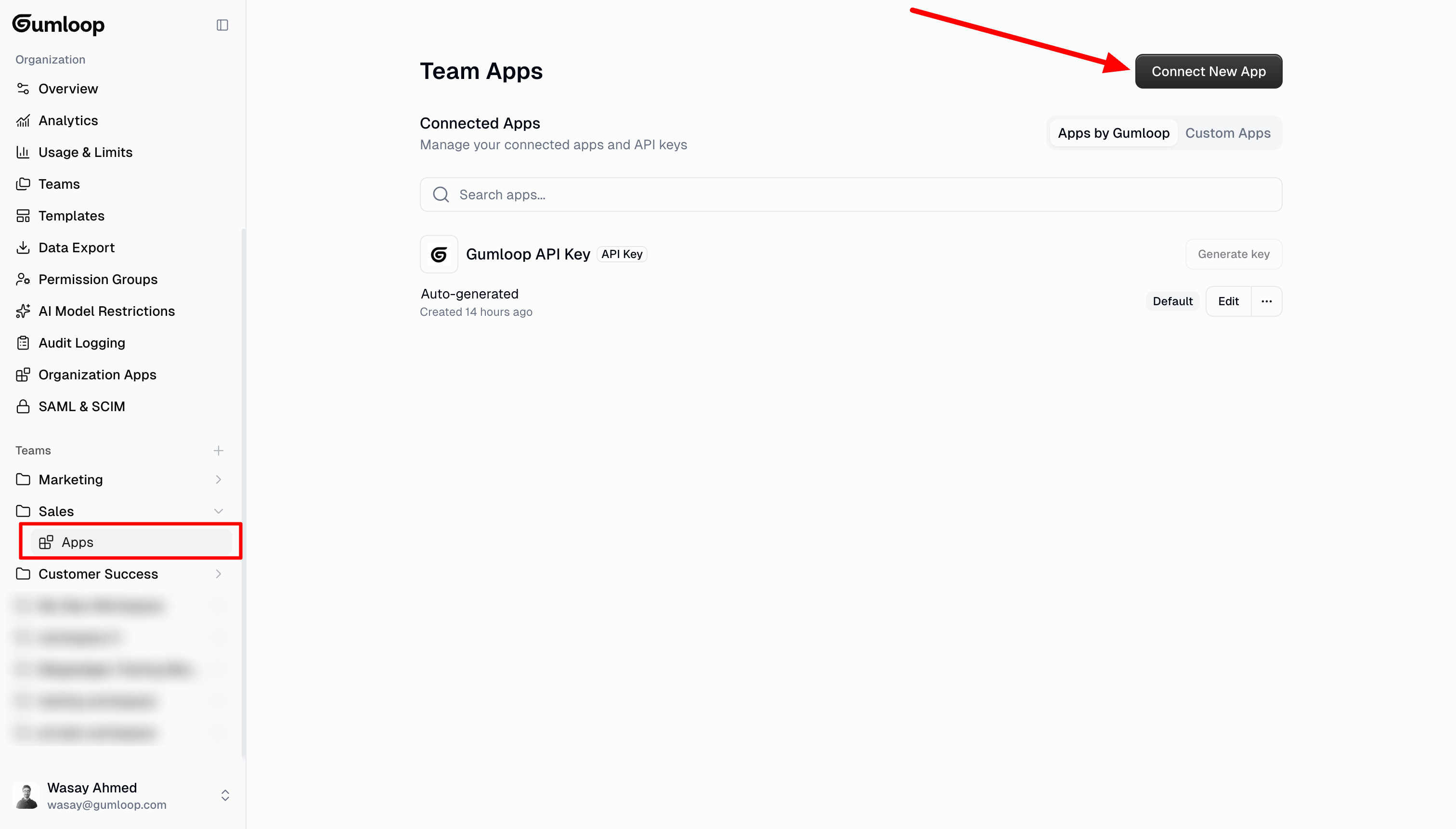 Team Apps page with Connect New App button
