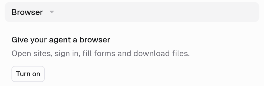 Browser section with the empty state Give your agent a browser and a Turn on button