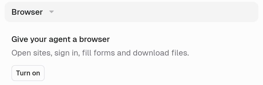 Browser section with the empty state Give your agent a browser and a Turn on button