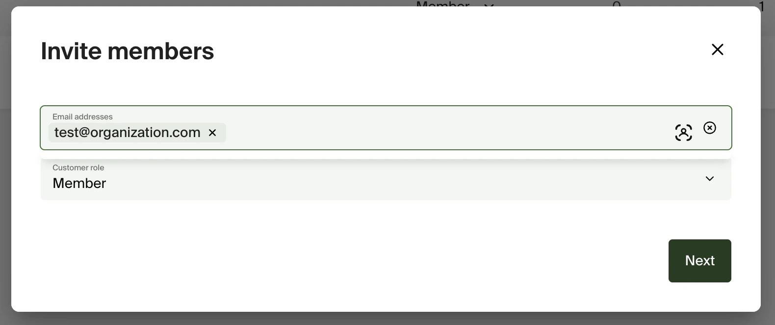 Invite members - email and role