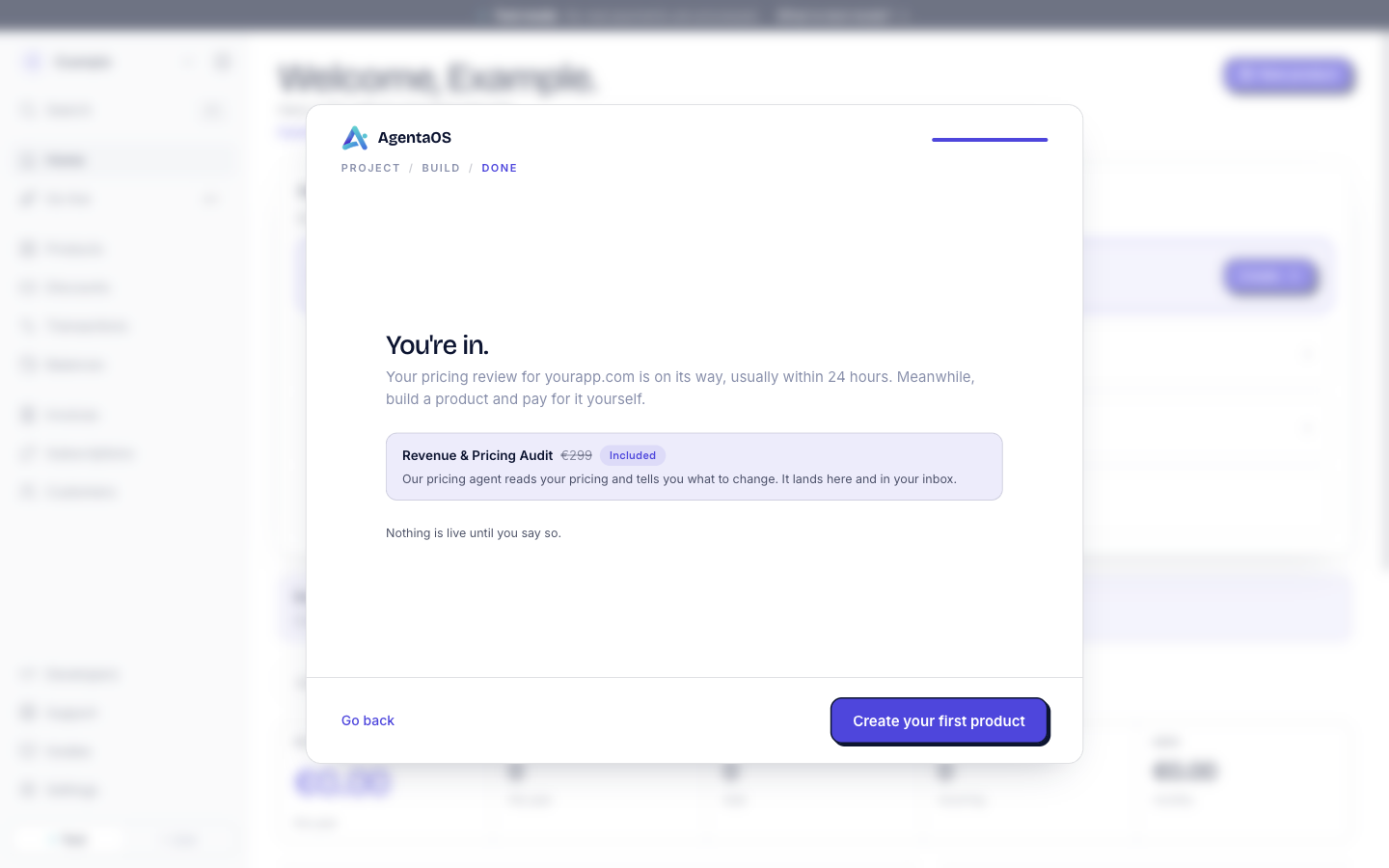 The You're in screen. The text says Your pricing review for yourapp.com is on its way, usually within 24 hours. A card shows Revenue & Pricing Audit, €299 struck out, Included, and says Our pricing agent reads your pricing and tells you what to change. It lands here and in your inbox.