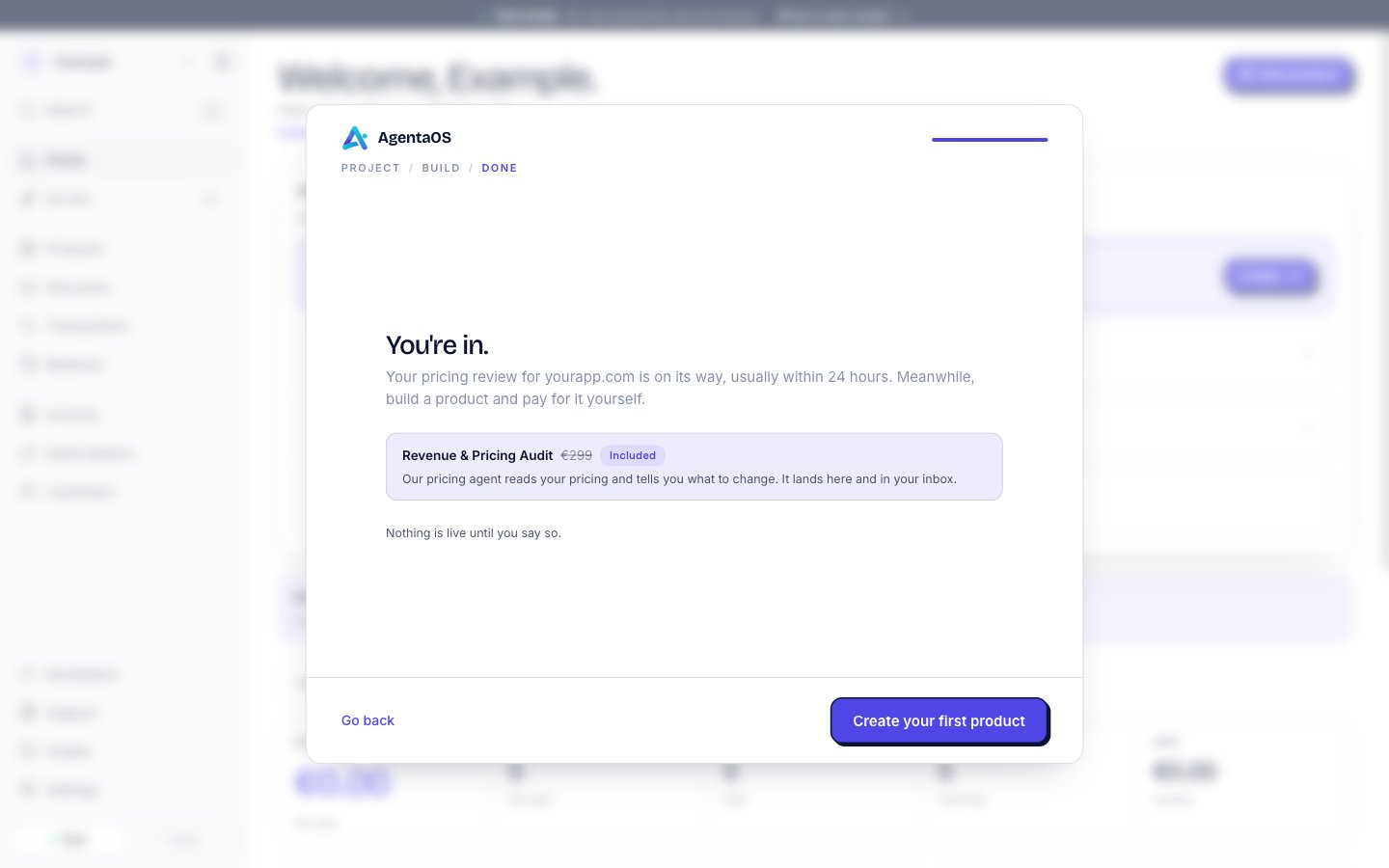 The You're in screen. The text says Your pricing review for yourapp.com is on its way, usually within 24 hours. A card shows Revenue & Pricing Audit, €299 struck out, Included, and says Our pricing agent reads your pricing and tells you what to change. It lands here and in your inbox.