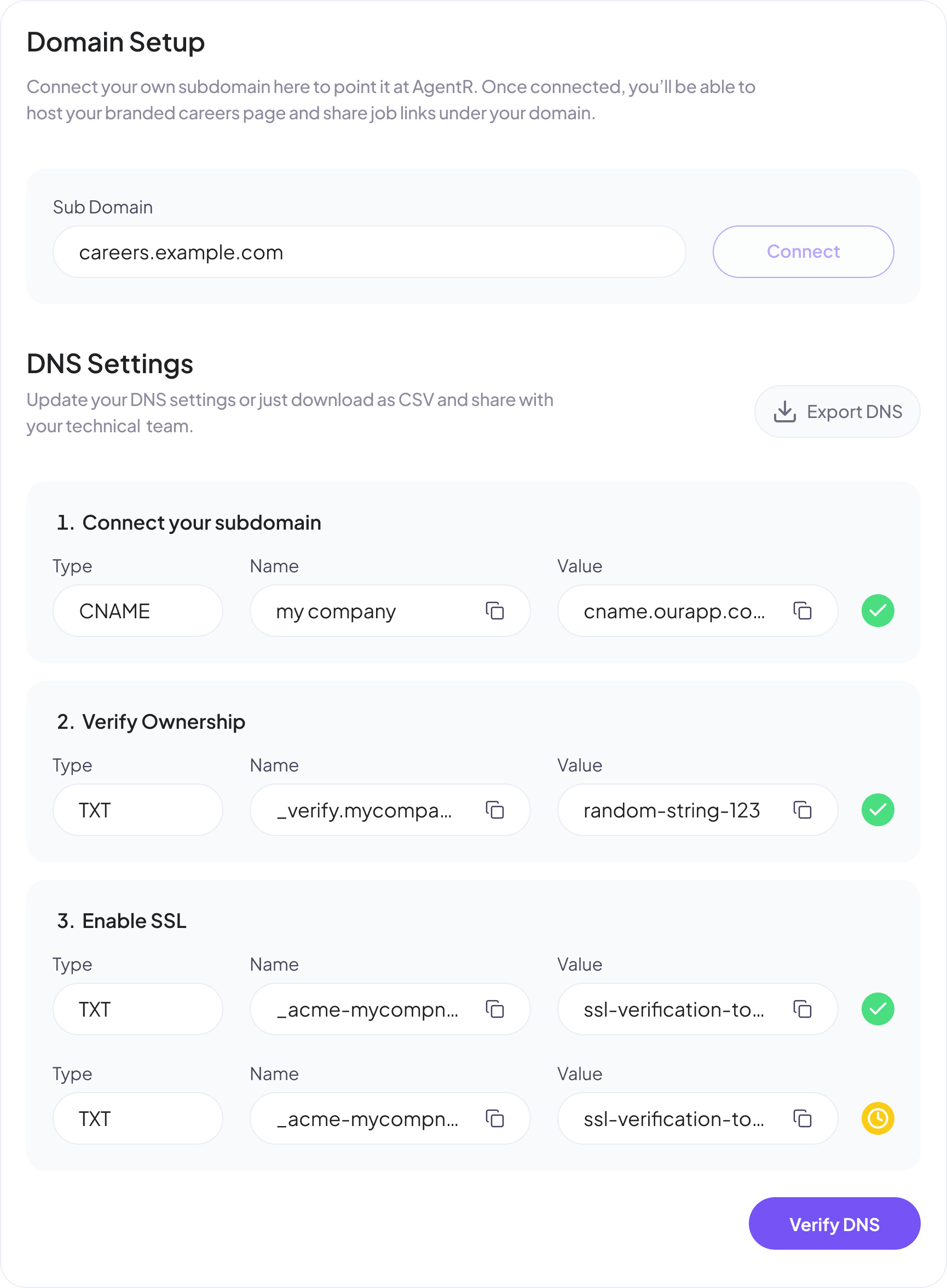 DNS Settings Panel