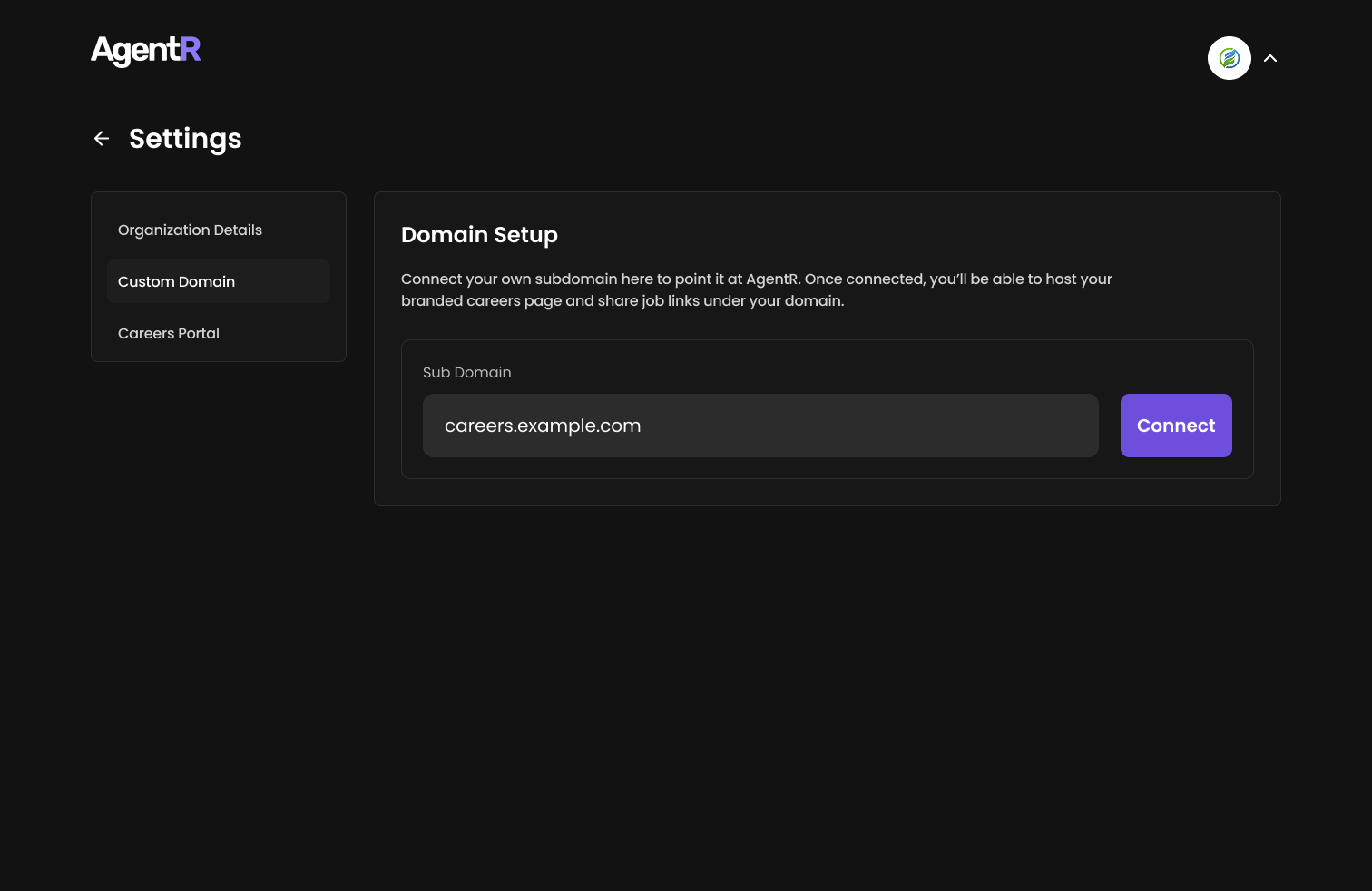 Custom Domain Setup Interface
