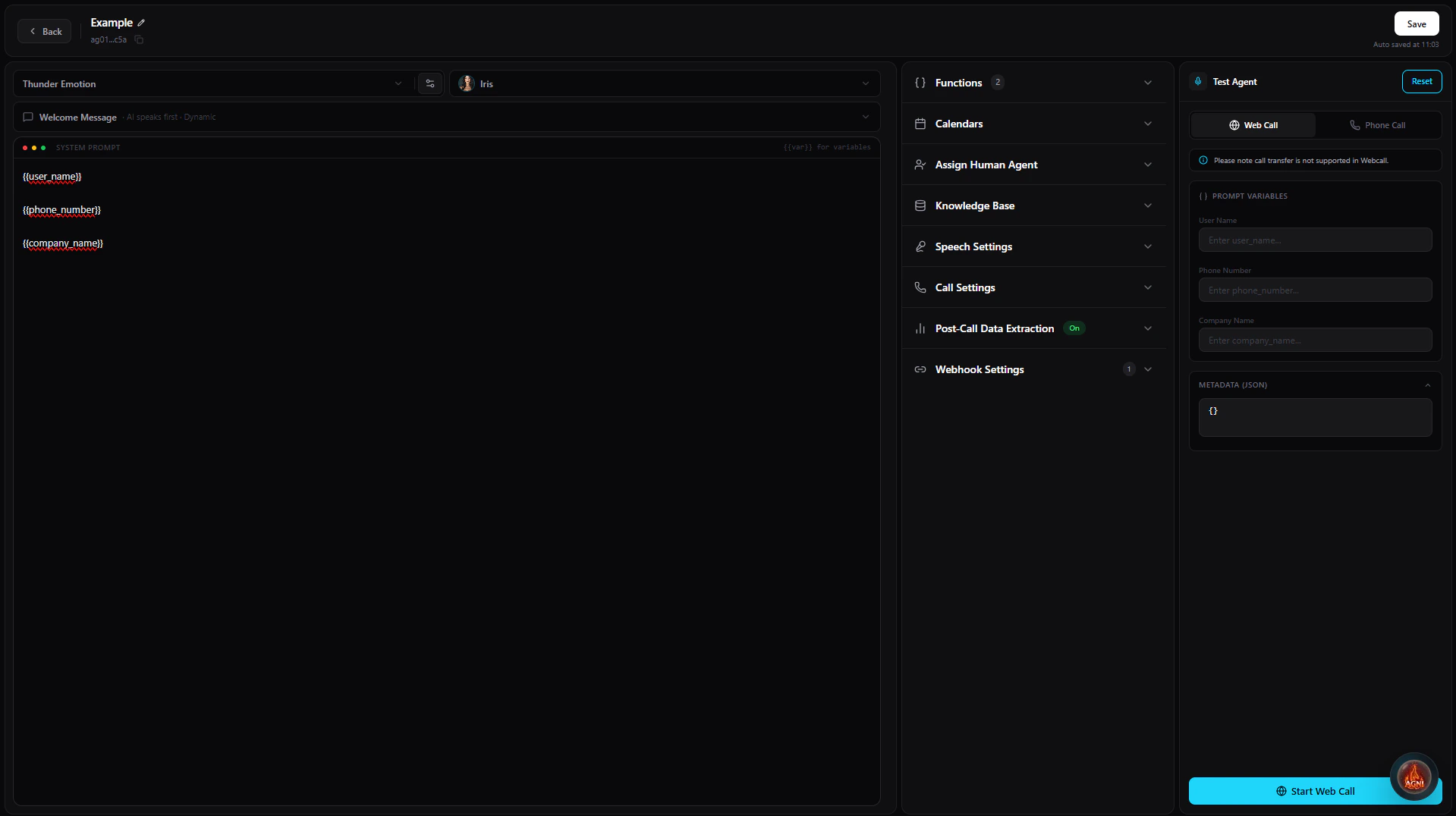 Testing panel showing dynamic variable inputs