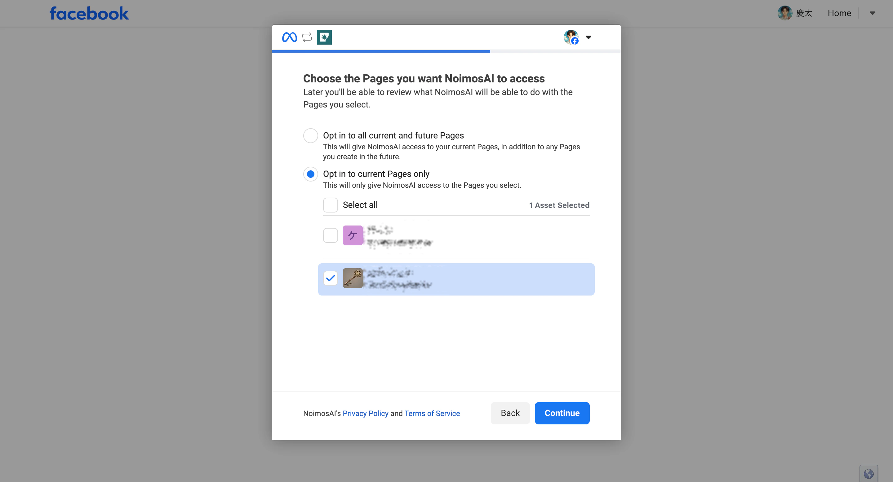 Select Facebook Page access for Instagram integration