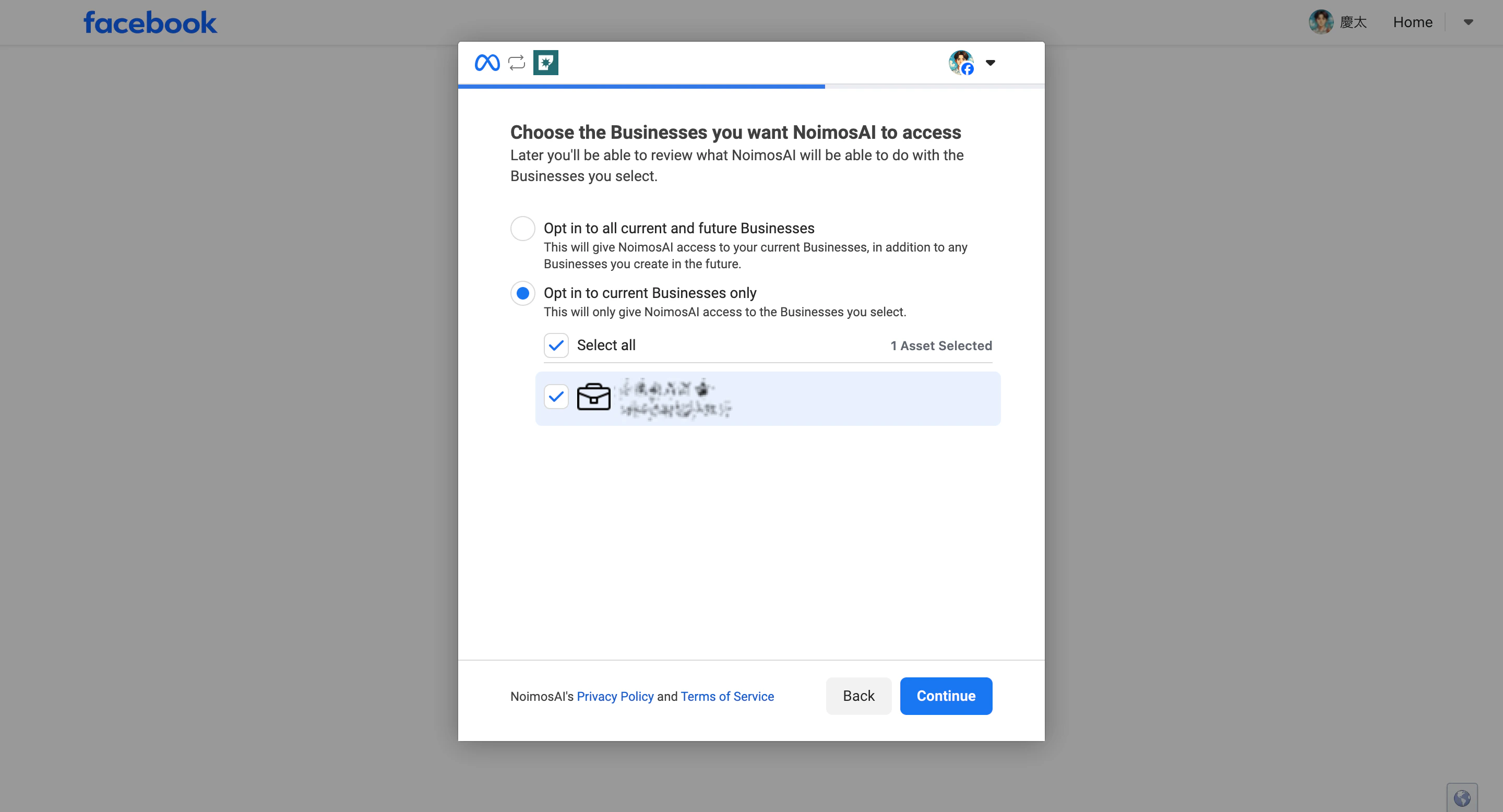 Grant selected Facebook business asset access