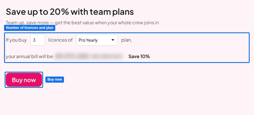 The team plans section of the AhaSlides pricing page, with the number of licences, plan and Buy now button highlighted