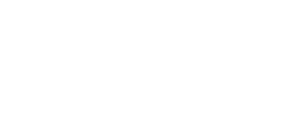 Goose