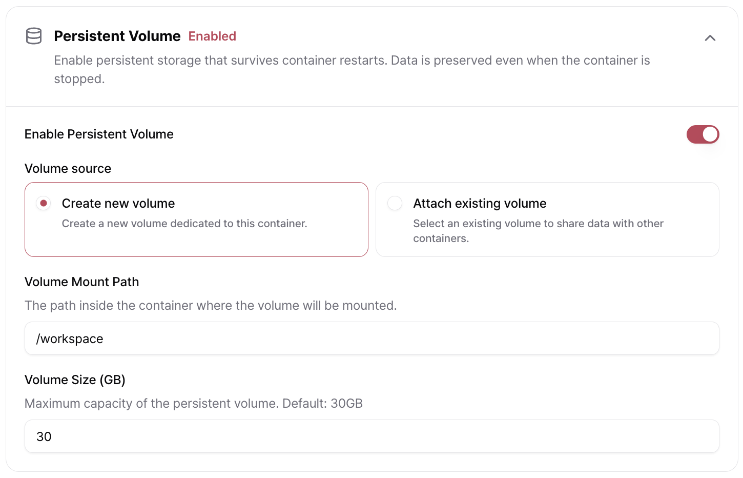 Persist Volume Eng498