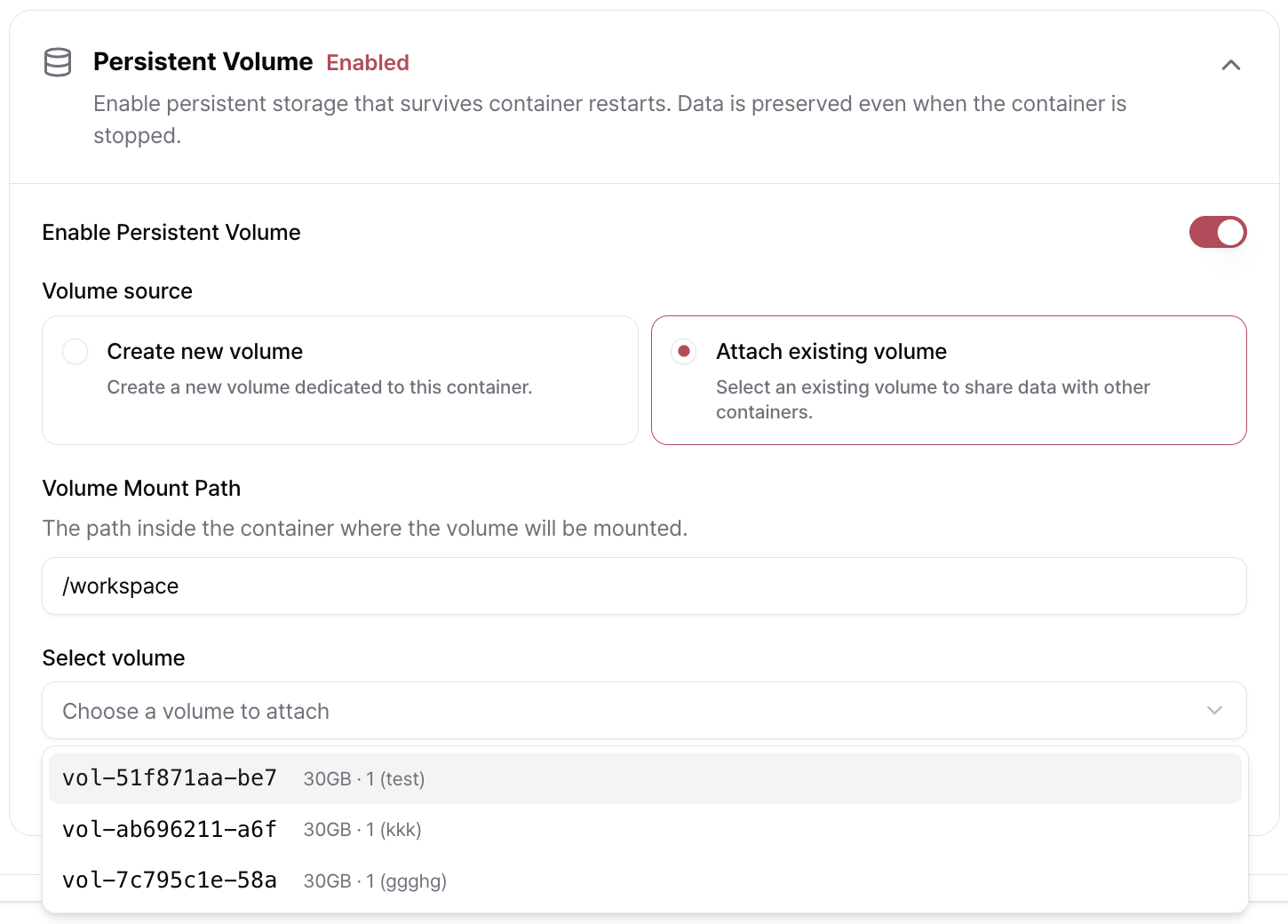 Persist Volume Eng742