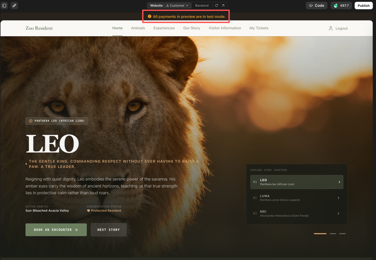Test-mode banner at the top of the preview