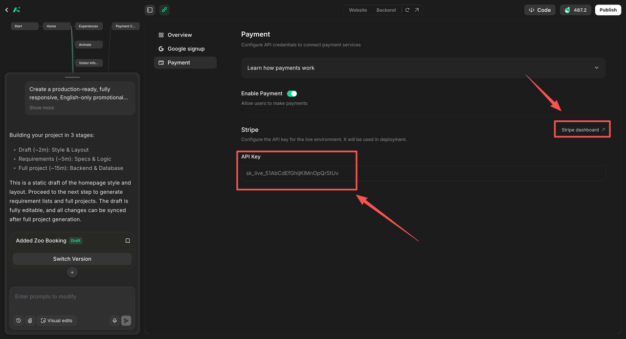 Payment settings with the live API key field