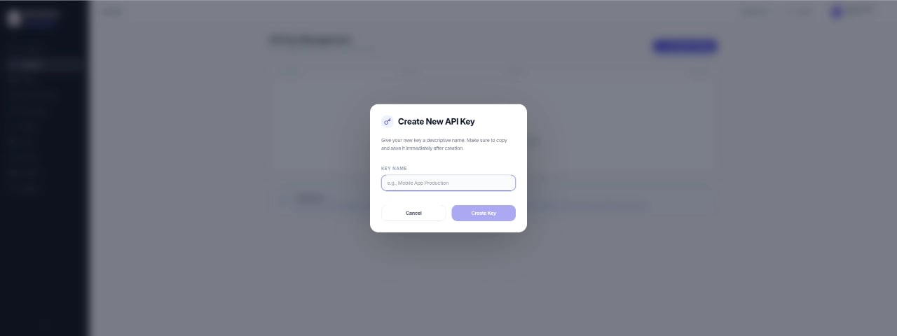API KEY Configuration Image